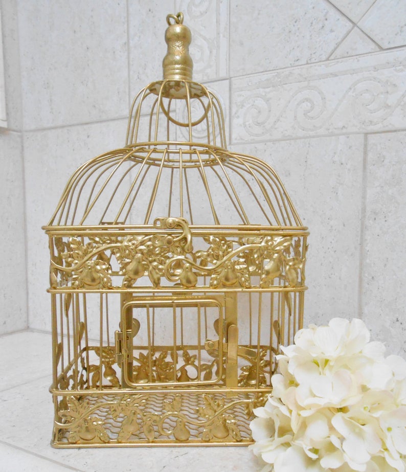 bird cage